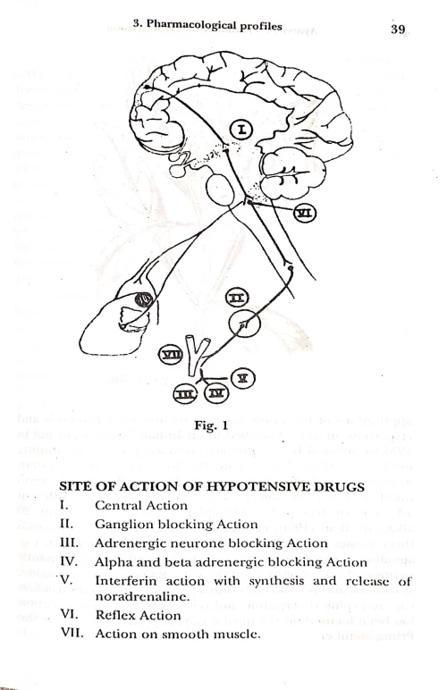 Ayurvedic Treatment for Hypertension (High Blood Pressure)
